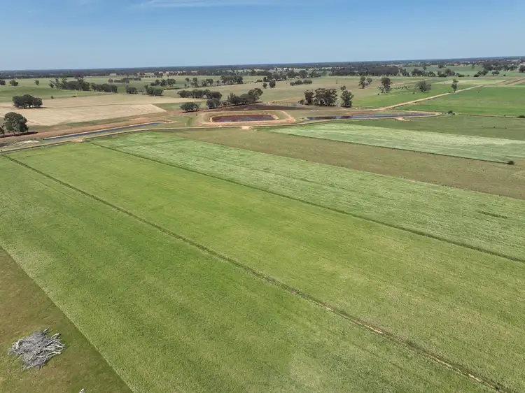 Third view of Homely rural property listing, 1105 Starritt Road, Undera VIC 3629