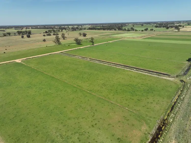 Fifth view of Homely rural property listing, 1105 Starritt Road, Undera VIC 3629