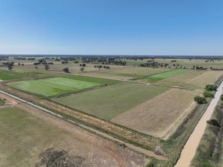 Sixth view of Homely rural property listing, 1105 Starritt Road, Undera VIC 3629
