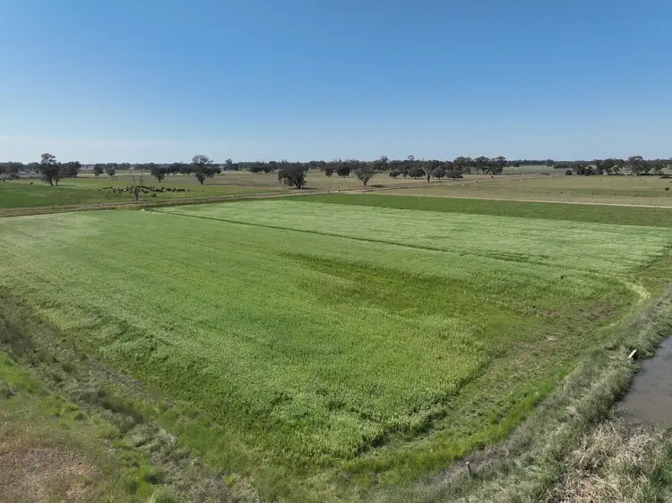 Seventh view of Homely rural property listing, 1105 Starritt Road, Undera VIC 3629