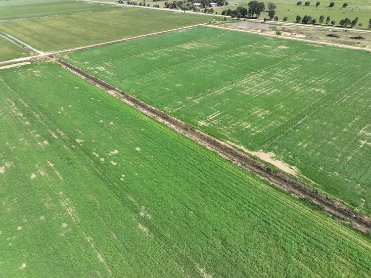 Fourth view of Homely rural property listing, 209 Central Mundoona Road, Numurkah VIC 3636