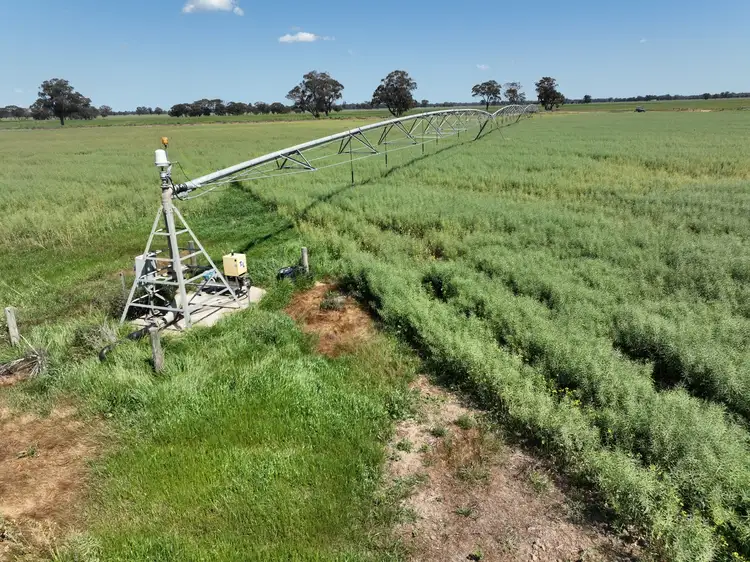 Fifth view of Homely rural property listing, 209 Central Mundoona Road, Numurkah VIC 3636