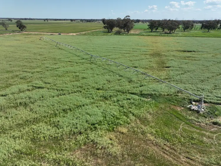 Sixth view of Homely rural property listing, 209 Central Mundoona Road, Numurkah VIC 3636
