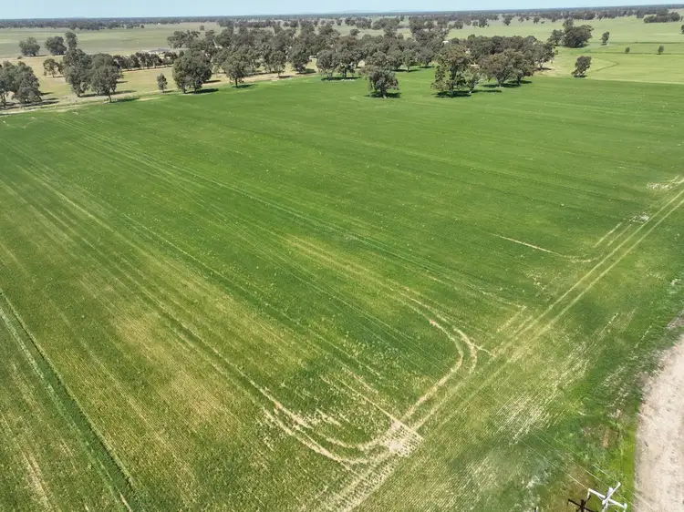 Seventh view of Homely rural property listing, 209 Central Mundoona Road, Numurkah VIC 3636