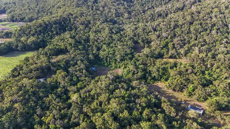 1060 Pine Creek Yarrabah Road, East Trinity QLD 4871