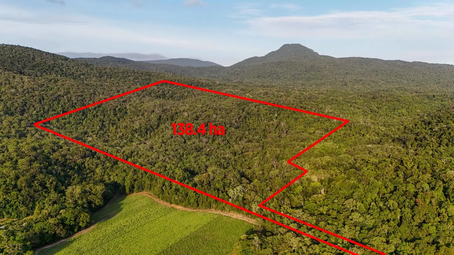 Main view of Homely rural property listing, 1060 Pine Creek Yarrabah Road, East Trinity QLD 4871