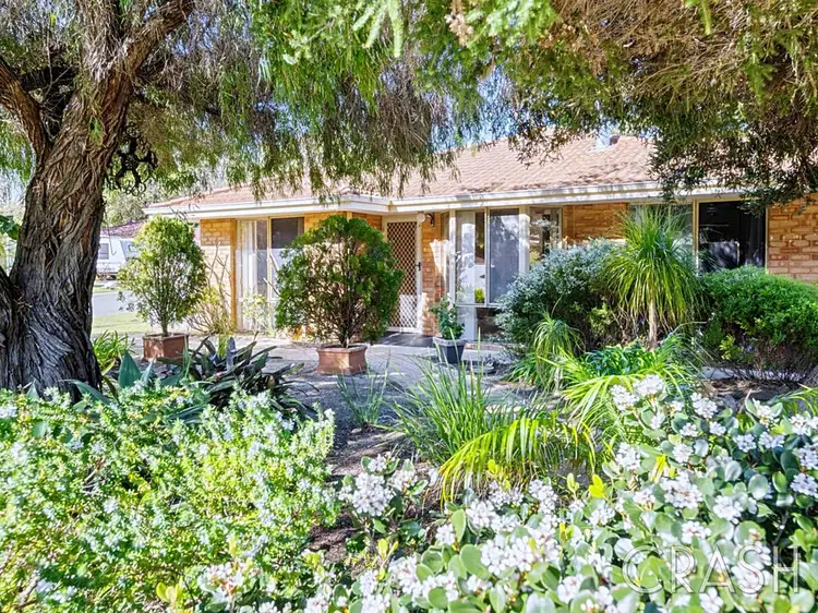 Main view of Homely house listing, 25 Austin Rise, Dawesville WA 6211