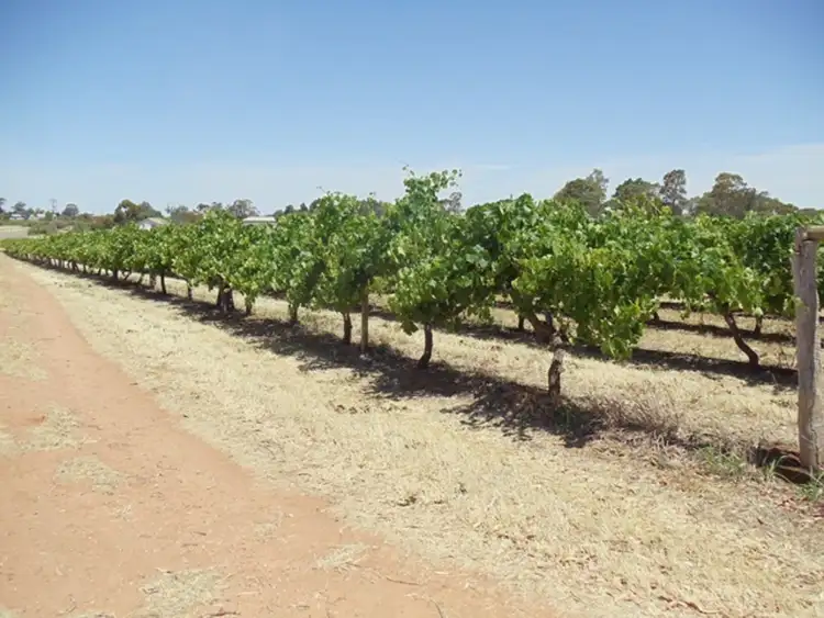 Second view of Homely rural property listing, 1 McLean Lane, Vinifera VIC 3591