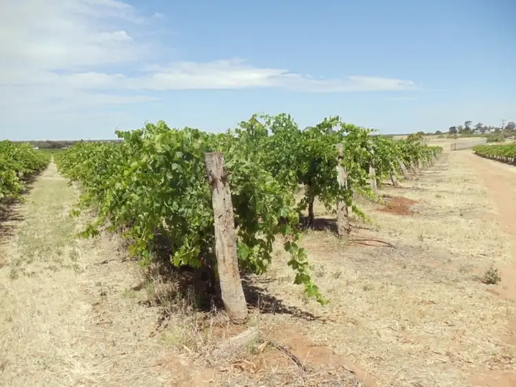 Third view of Homely rural property listing, 1 McLean Lane, Vinifera VIC 3591