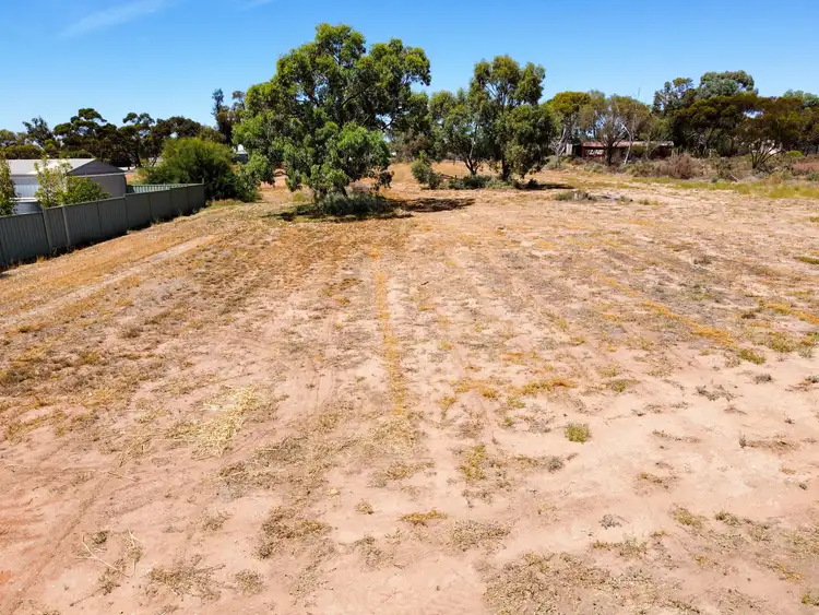 Seventh view of Homely land listing, 101 Stradbroke Avenue, Nyah VIC 3594