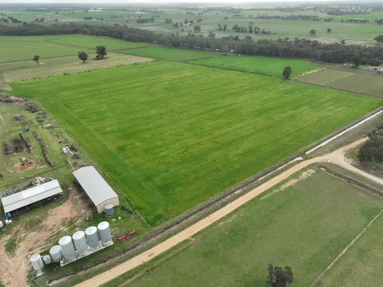 Sixth view of Homely rural property listing, 1 Warneckie Street, Wunghnu VIC 3635