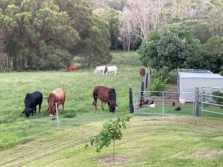Fifth view of Homely rural property listing, 235 Coorooman Creek Road, Cawarral QLD 4702
