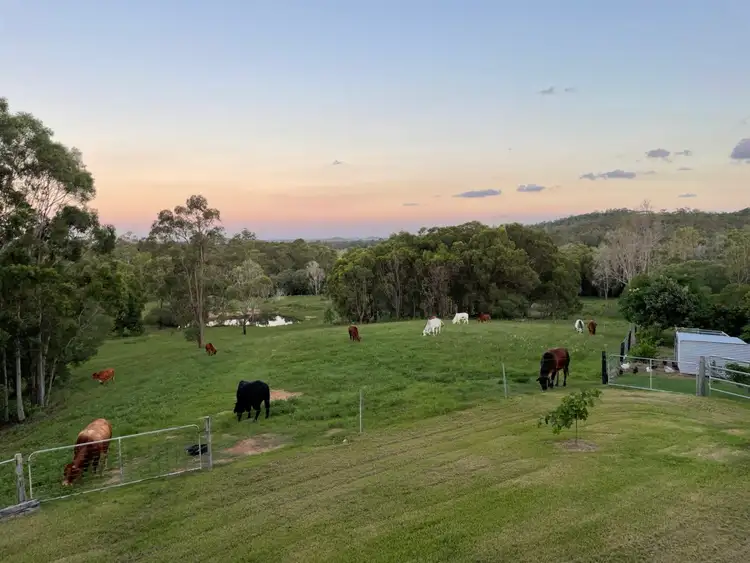 Sixth view of Homely rural property listing, 235 Coorooman Creek Road, Cawarral QLD 4702