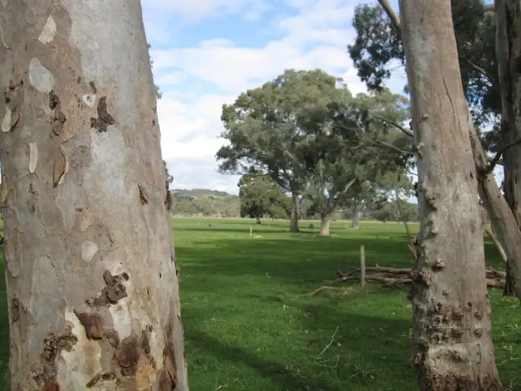 Sixth view of Homely rural property listing, 1237 Brookman Road, Hope Forest SA 5172