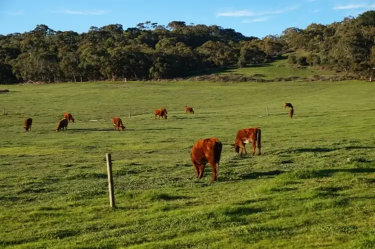 Sixth view of Homely rural property listing, 128 Enterprise Road, Yundi SA 5172