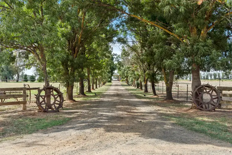 Second view of Homely rural property listing, 385 Hays Road, Katunga VIC 3640