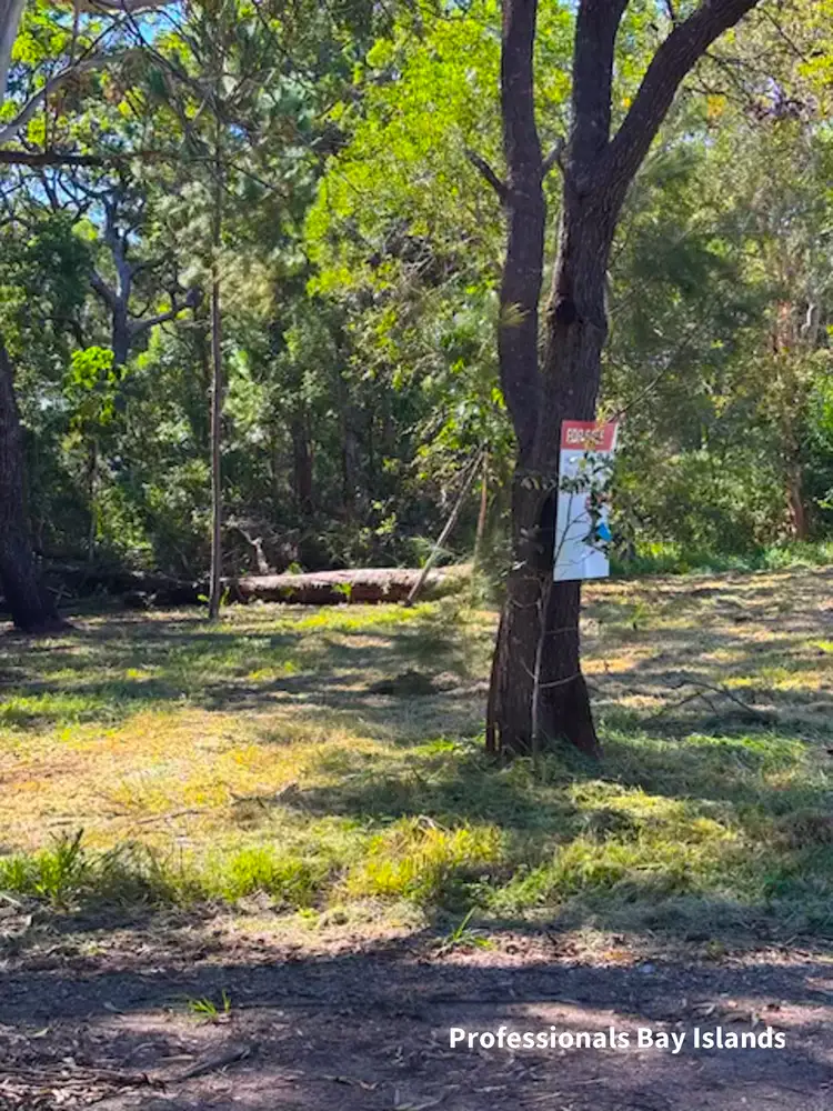 21 Noogie Street, Macleay Island QLD 4184