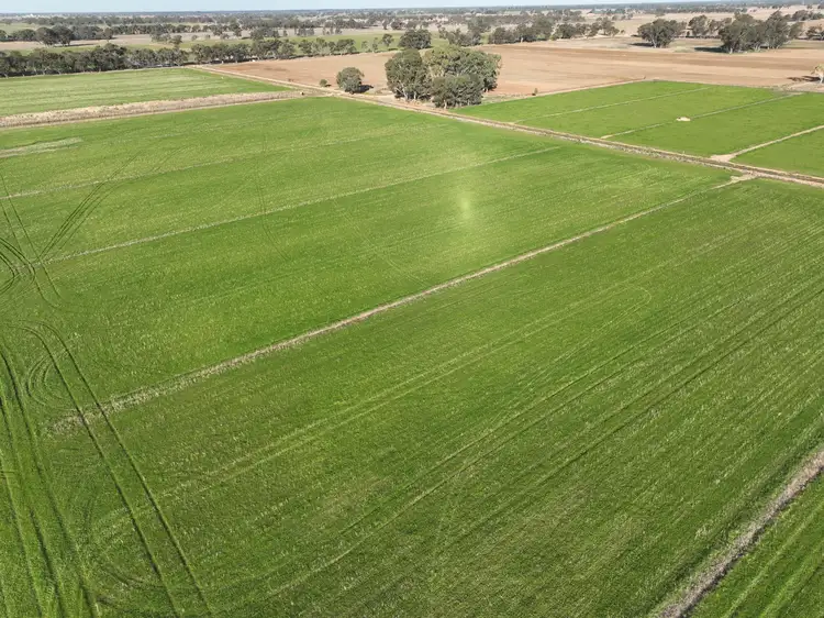 Second view of Homely rural property listing, 104 Shinnicks Road, Strathmerton VIC 3641