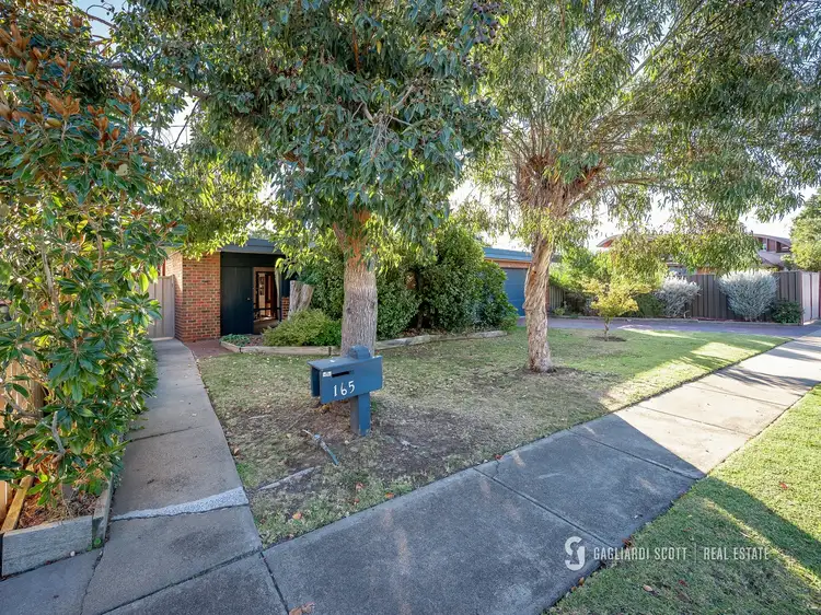 Sixth view of Homely house listing, 165 Balaclava Road, Shepparton VIC 3630