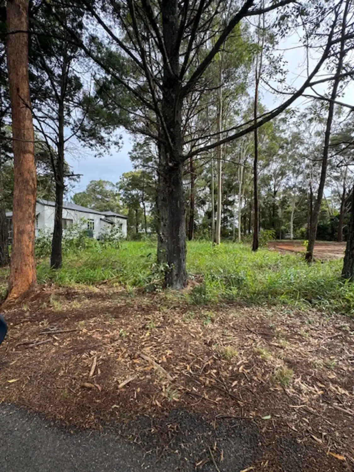 Main view of Homely land listing, 29 Satton Street, Russell Island QLD 4184