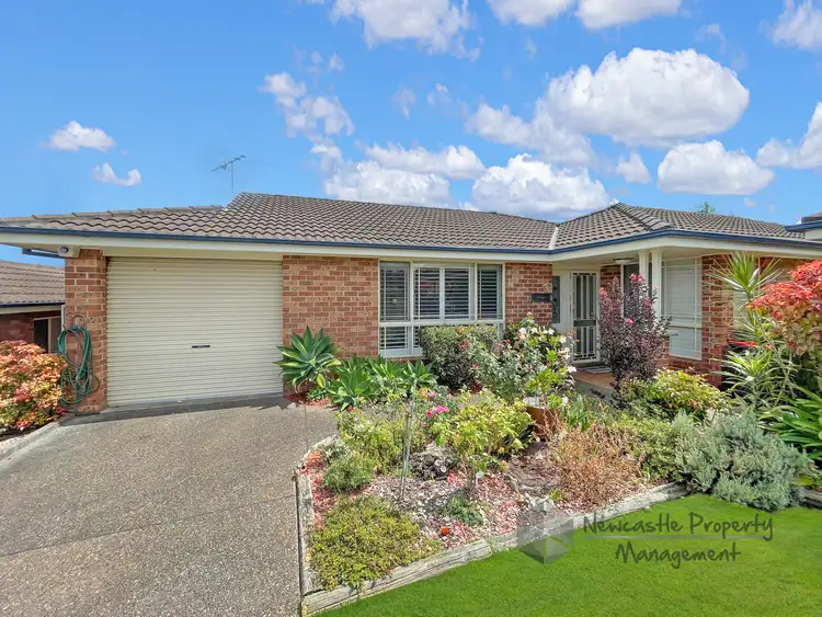 Main view of Homely unit listing, 3/5 Loderi Place, Warabrook NSW 2304