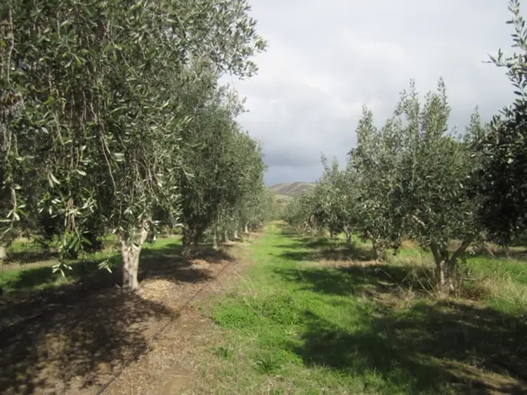 Lot 8 Hahn Road, Sellicks Hill SA 5174