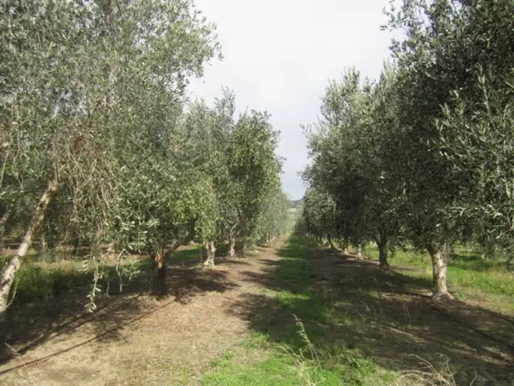 Second view of Homely rural property listing, Lot 8 Hahn Road, Sellicks Hill SA 5174