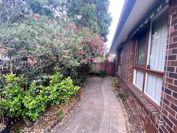 Fifth view of Homely unit listing, 7/1321 Nepean Highway, Cheltenham VIC 3192
