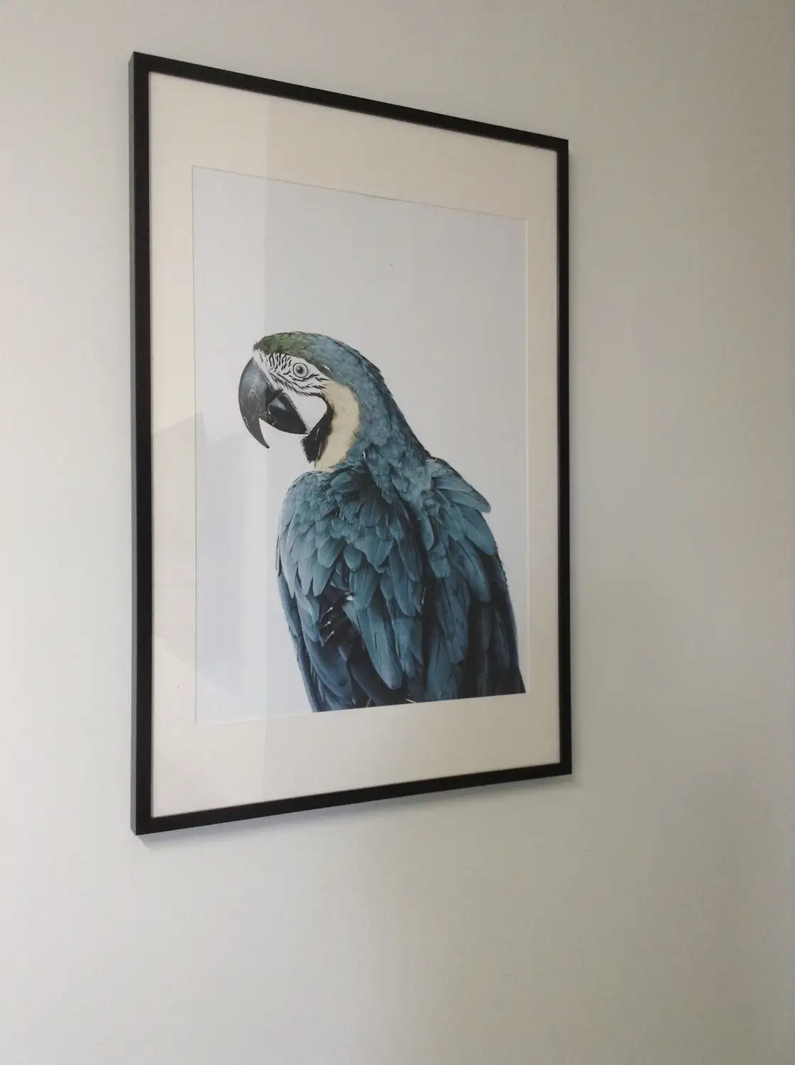 Main view of Homely flat listing, 2/20 Tarwin Street, Morwell VIC 3840