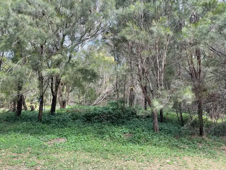 12 Rainbow Avenue, Macleay Island QLD 4184