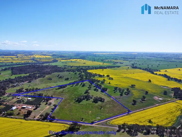 Fourth view of Homely rural property listing, a11364/139 sargents Street, Thoona VIC 3726