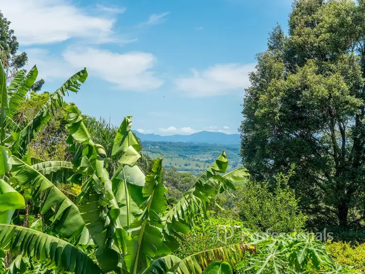 25 Hillcrest Avenue, Goonellabah NSW 2480