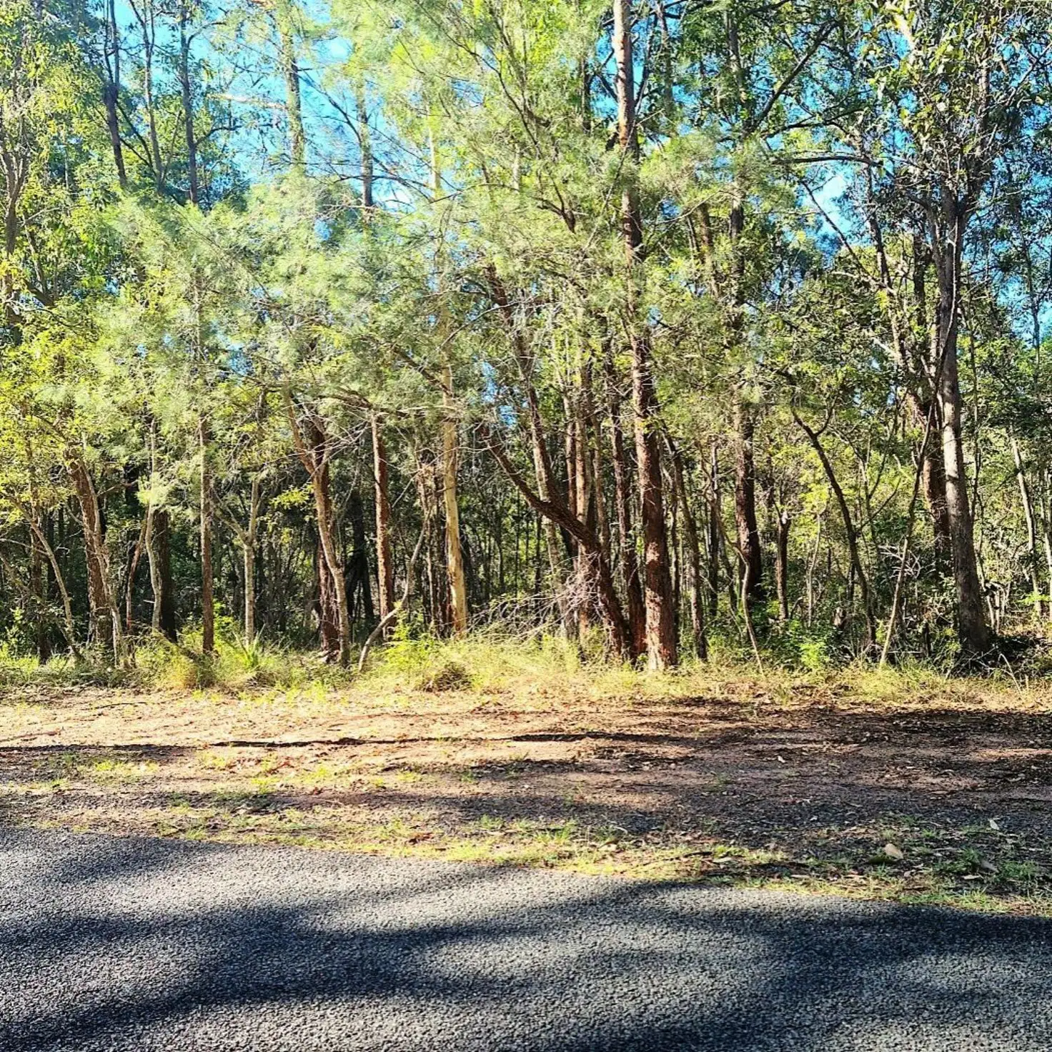 Main view of Homely land listing, 57 Shore Street, Russell Island QLD 4184