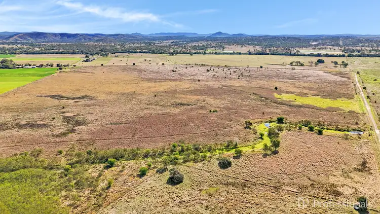 Fourth view of Homely rural property listing, 37 Kelly Road, Gracemere QLD 4702