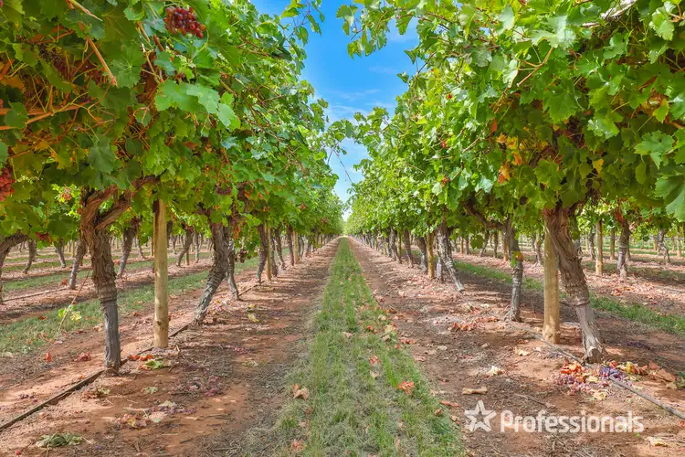 Second view of Homely rural property listing, 83a Belar Avenue Extension, Irymple VIC 3498