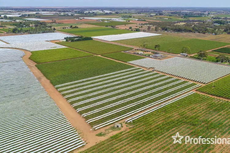 Fourth view of Homely rural property listing, 83a Belar Avenue Extension, Irymple VIC 3498