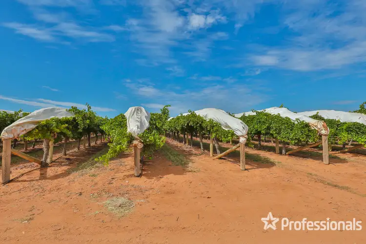 Fifth view of Homely rural property listing, 83a Belar Avenue Extension, Irymple VIC 3498