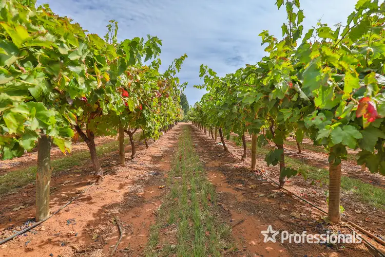 Sixth view of Homely rural property listing, 83a Belar Avenue Extension, Irymple VIC 3498