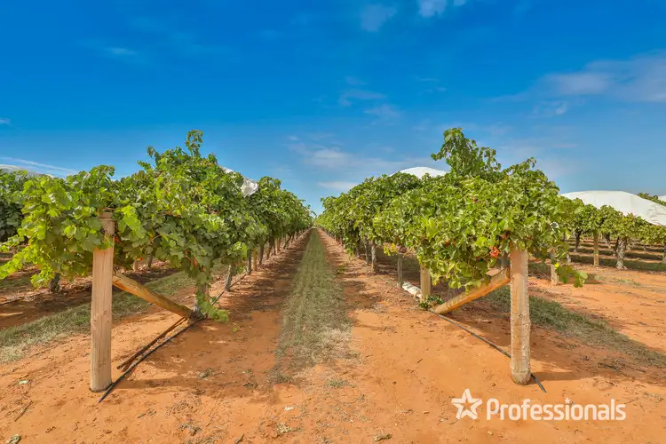 Seventh view of Homely rural property listing, 83a Belar Avenue Extension, Irymple VIC 3498