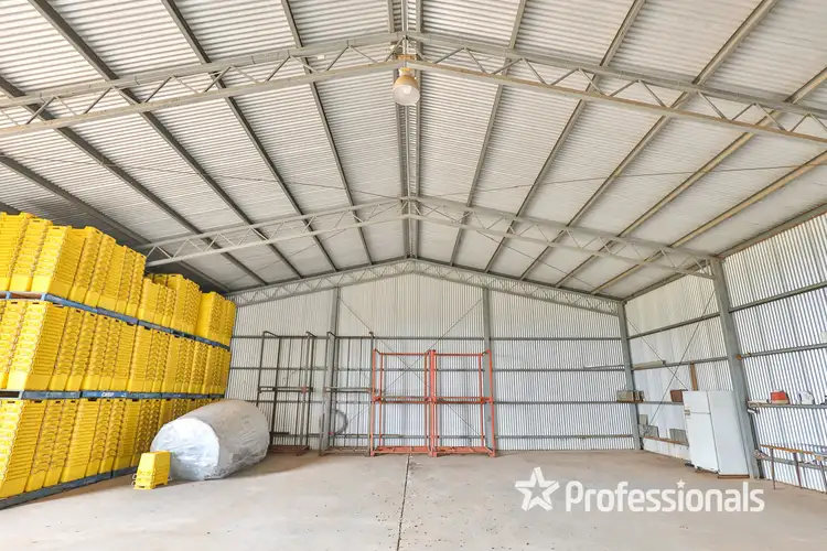 Fourth view of Homely rural property listing, 740 Karadoc Avenue, Irymple VIC 3498