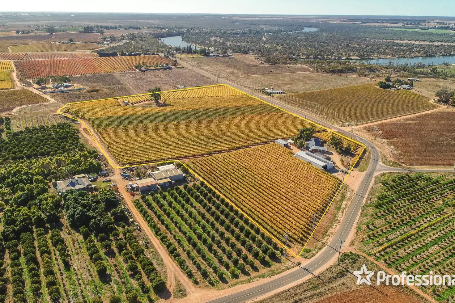 Main view of Homely rural property listing, 431 Woomera Avenue, Red Cliffs VIC 3496