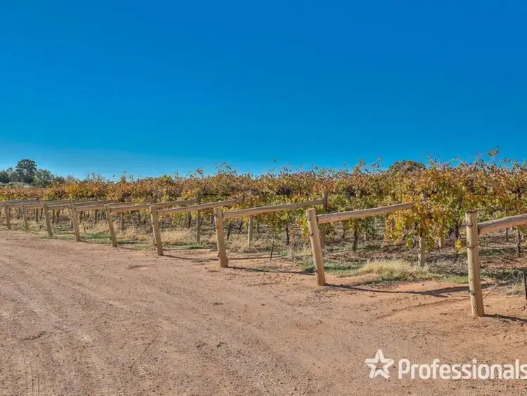 Second view of Homely rural property listing, 8514 Calder Highway, Red Cliffs VIC 3496