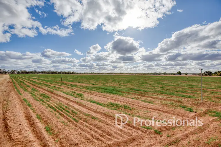 Fourth view of Homely rural property listing, Cnr Norman Road, Merbein West VIC 3505