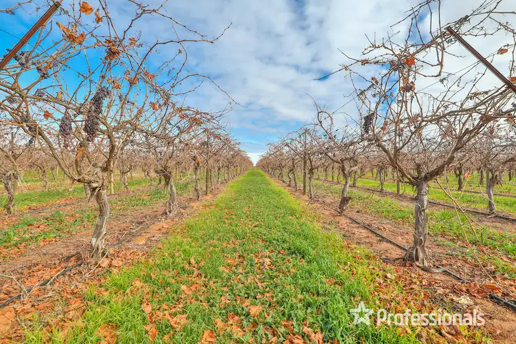 Sixth view of Homely rural property listing, 248 Sunnycliffs Crescent, Sunnycliffs VIC 3496