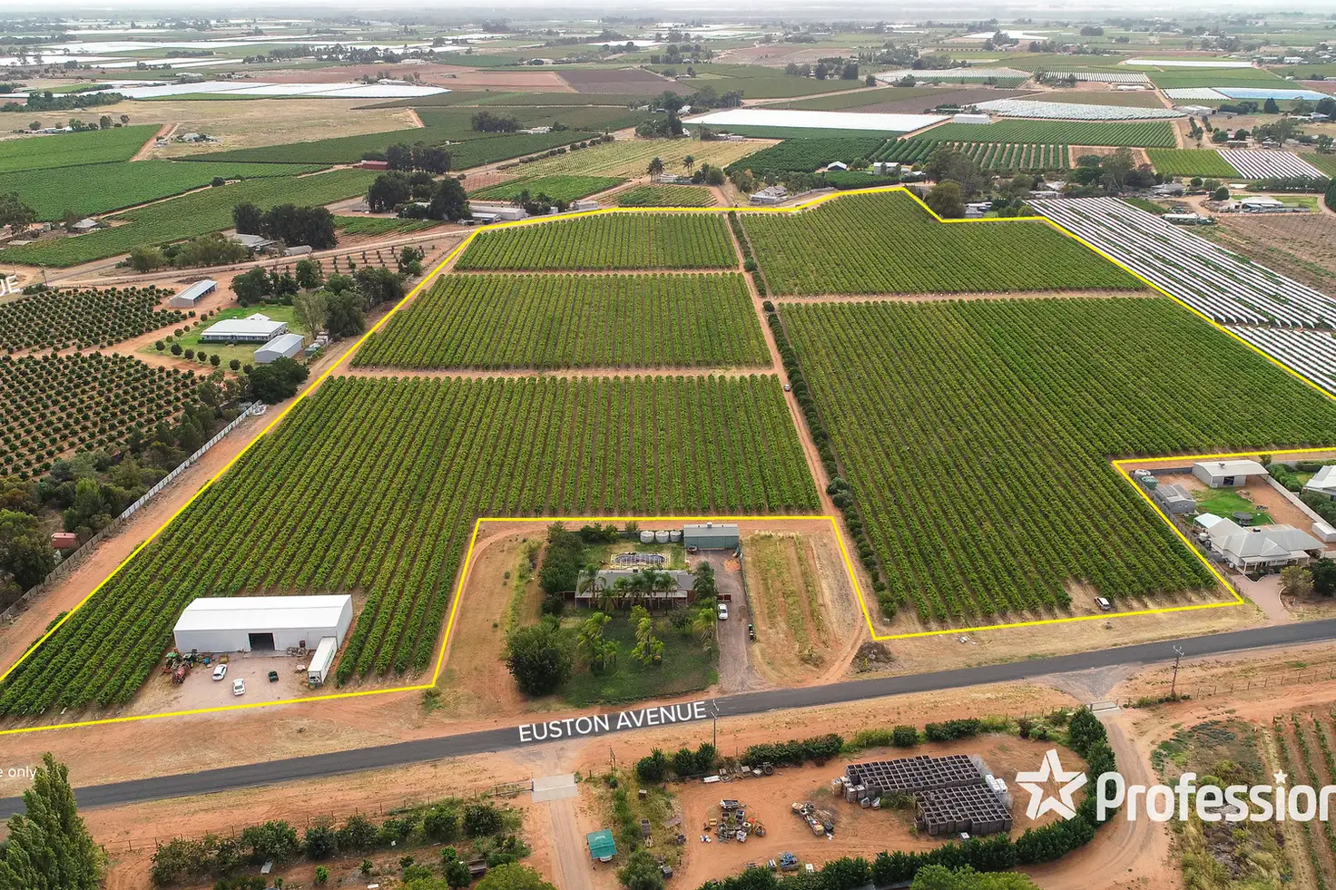 Main view of Homely rural property listing, 405 Euston Avenue, Red Cliffs VIC 3496