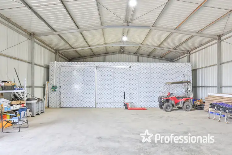 Fifth view of Homely rural property listing, 405 Euston Avenue, Red Cliffs VIC 3496