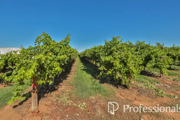 Third view of Homely rural property listing, Level (Lot 2/PS911361M)/Cnr Twentieth Street & Boobook Avenue, Cardross VIC 3496