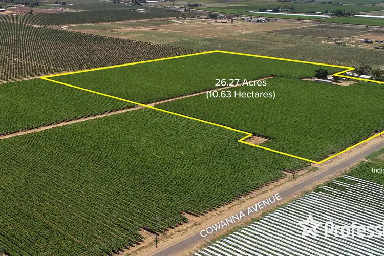 444 Cowanna Avenue, Merbein VIC 3505