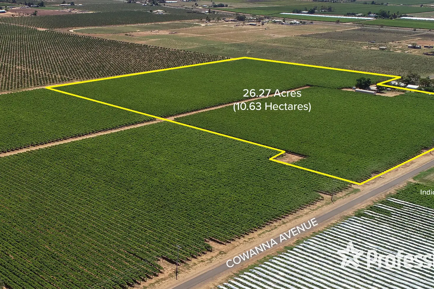 Main view of Homely rural property listing, 444 Cowanna Avenue, Merbein VIC 3505