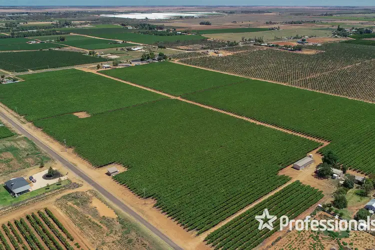 Fifth view of Homely rural property listing, 444 Cowanna Avenue, Merbein VIC 3505